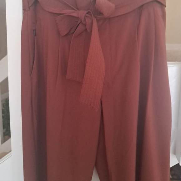 Athleta Skyline 2 Brick colored Quickdry Pants w built in belt sz10 EUC - Picture 1 of 8